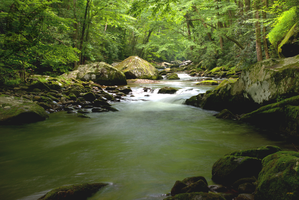 Little River mountain stream